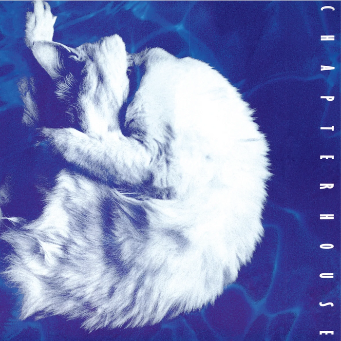 Chapterhouse – Whirlpool (White/Black Marble vinyl) - Image 1