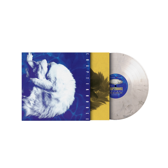 Chapterhouse – Whirlpool (White/Black Marble vinyl) - Image 2
