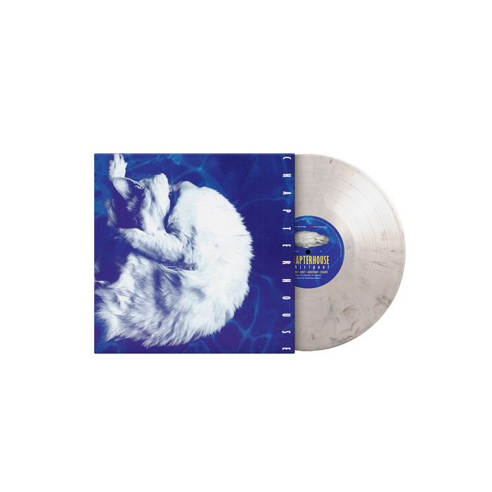 Chapterhouse – Whirlpool (White/Black Marble vinyl) - Image 3