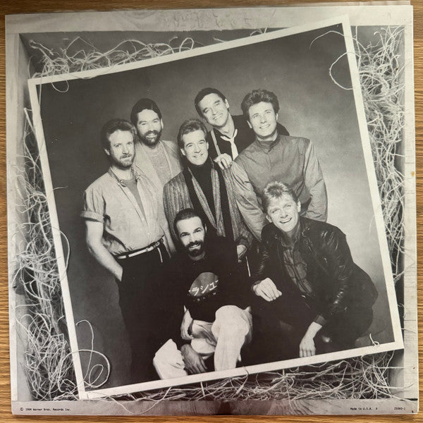 Chicago – Chicago 17 LP vinyl record, image 6 of 6