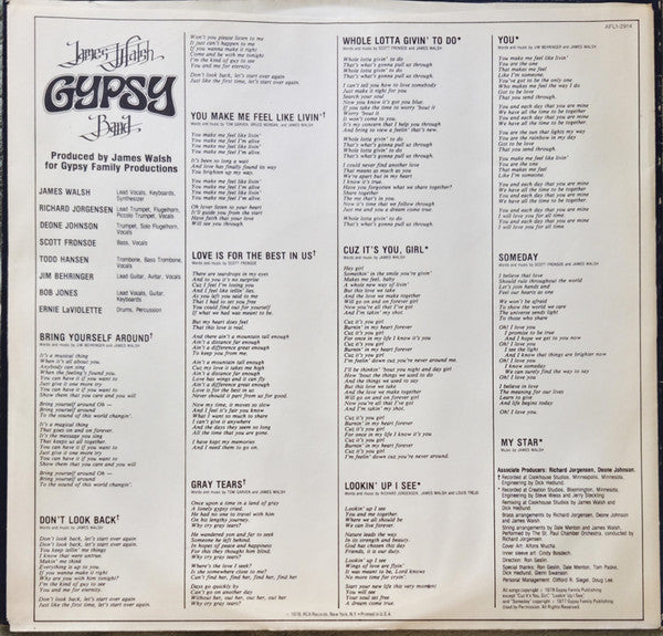 James Walsh Gypsy Band – James Walsh Gypsy Band LP vinyl record, image 5 of 6