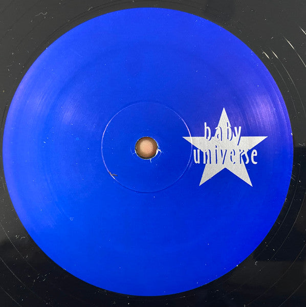 The Spiny Anteaters – The Spiny Anteaters' Last Supper LP vinyl record, image 4 of 4