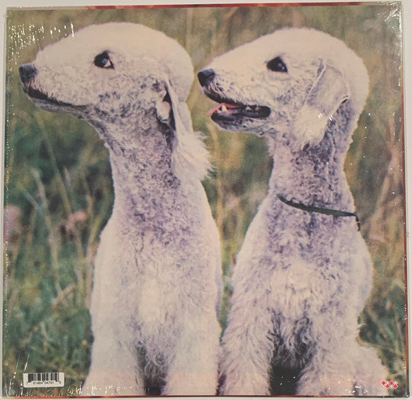 Ty Segall – Goodbye Bread LP vinyl record, image 2 of 7