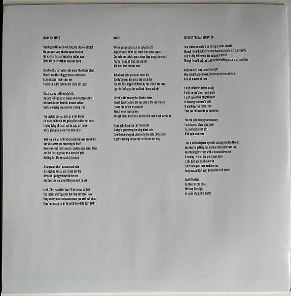 The Drones – Wait Long By The River And The Bodies Of Your Enemies Will Float By (2xLP) LP vinyl record, image 3 of 10