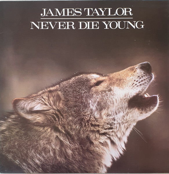 James Taylor – Never Die Young LP vinyl record, image 1 of 6