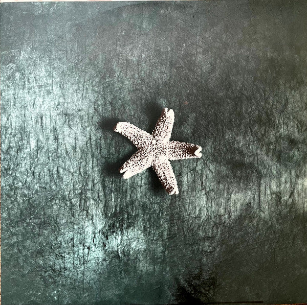 The Church – Starfish LP vinyl record, image 5 of 8
