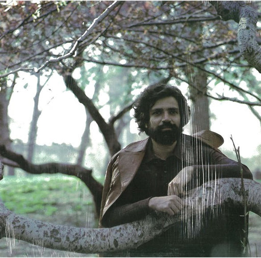 Felix Cavaliere – Destiny LP vinyl record, image 1 of 4