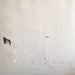 DIIV – Is The Is Are (2xLP) LP vinyl record, image 5 of 10