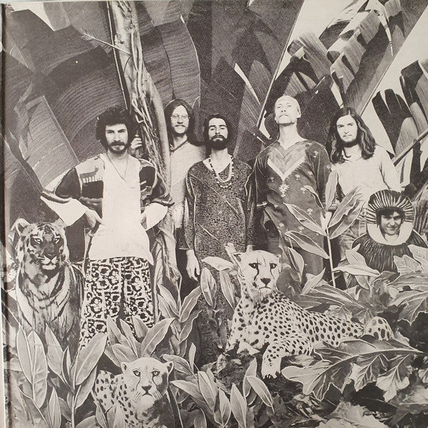 Pantha – Doway Do Doway Do !?!! LP vinyl record, image 3 of 6
