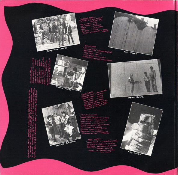 Various – Asleep At The Wheel LP vinyl record, image 3 of 6