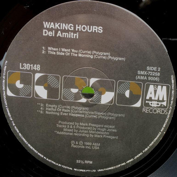 Del Amitri – Waking Hours LP vinyl record, image 4 of 4