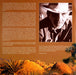 J.J. Cale – Collected (3xLP) LP vinyl record, image 4 of 10