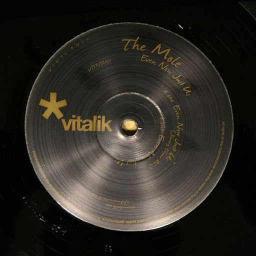 The Mole – Even Now Just Us 12" vinyl record, image 1 of 2