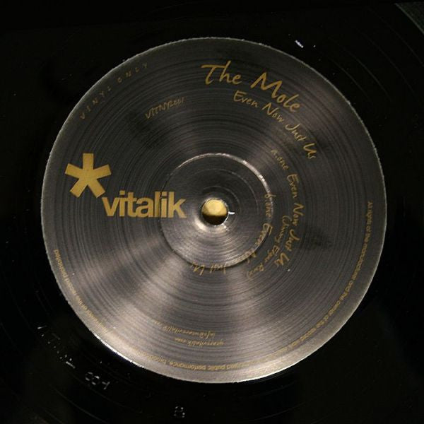 The Mole – Even Now Just Us 12" vinyl record, image 1 of 2
