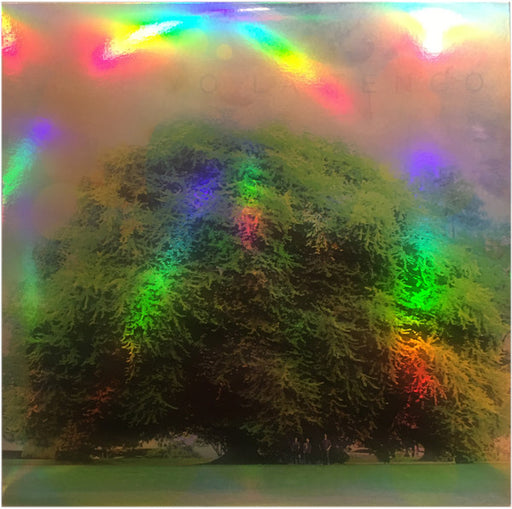 Yo La Tengo – Fade