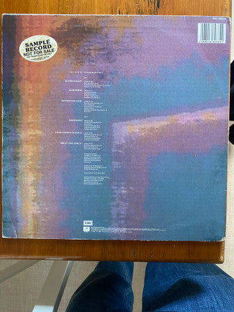 Pet Shop Boys – Disco LP vinyl record, image 5 of 7