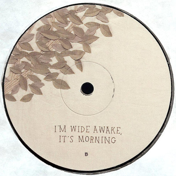 Bright Eyes – I'm Wide Awake, It's Morning LP vinyl record, image 4 of 10