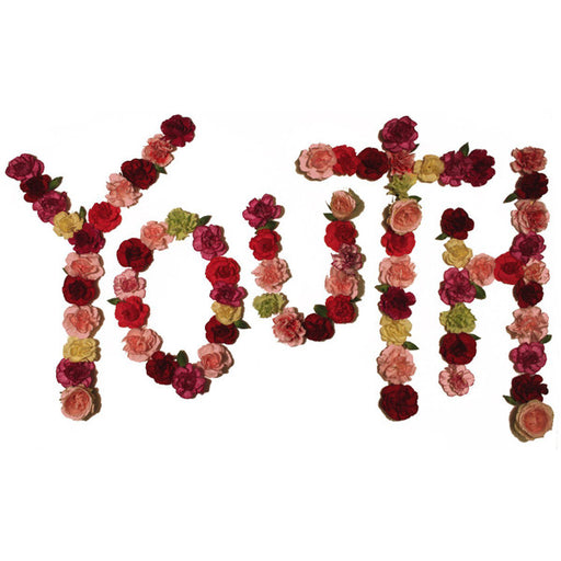 Citizen – Youth LP vinyl record, image 1 of 2