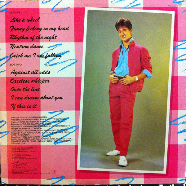 Joey Perrone – Joey Perrone LP vinyl record, image 2 of 7