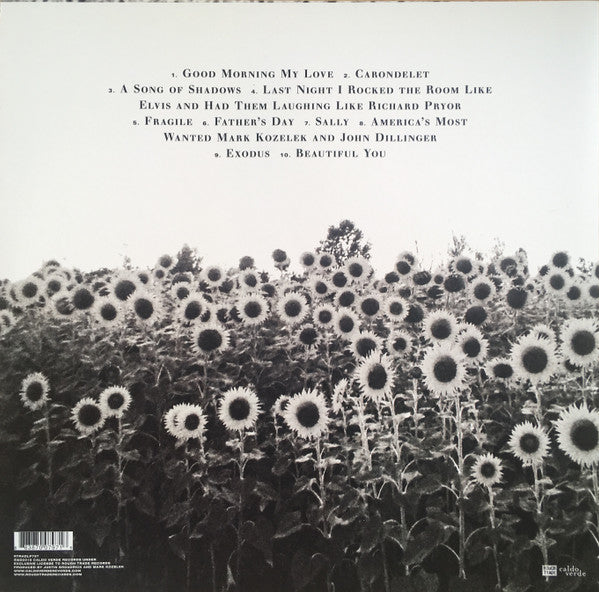 Jesu, Sun Kil Moon – Jesu / Sun Kil Moon (2xLP) LP vinyl record, image 2 of 10