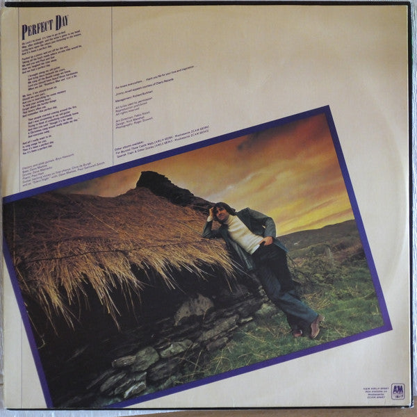 Chris de Burgh – At The End Of A Perfect Day LP vinyl record, image 4 of 7
