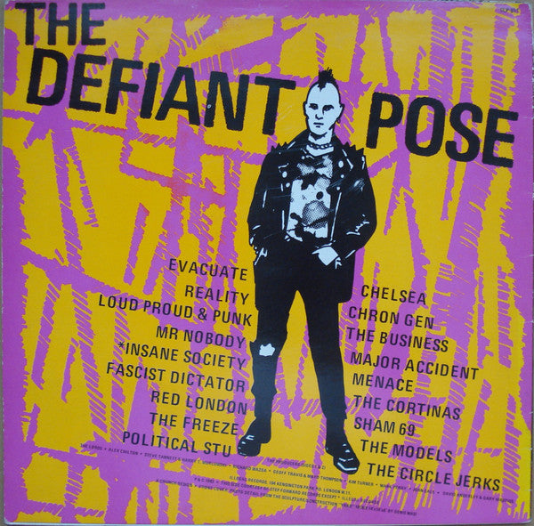 Various – The Defiant Pose LP vinyl record, image 2 of 4