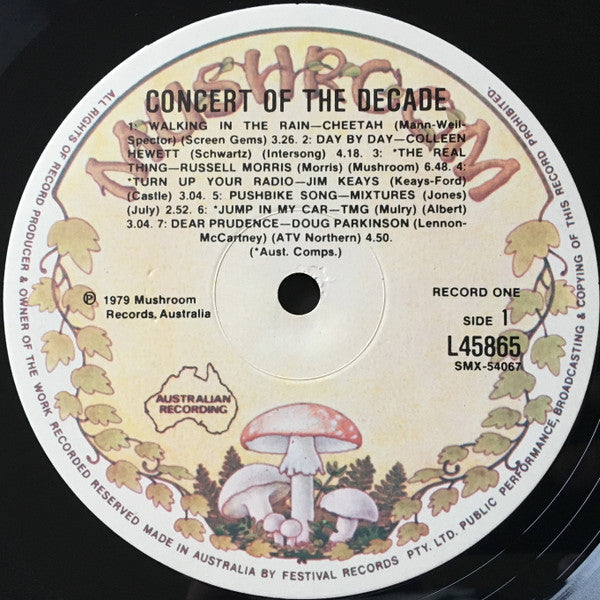 Various – The Concert Of The Decade (2xLP) LP vinyl record, image 4 of 9