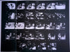 Milt Jackson, Barney Wilen, Percy Heath, Kenny Clarke – Jazz Sur Seine LP vinyl record, image 7 of 7