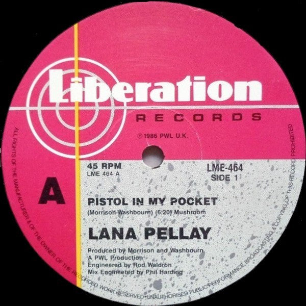 Alan Pillay – Pistol In My Pocket 12" vinyl record, image 5 of 6