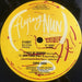 Chris Knox – Not Given Lightly 12" vinyl record, image 4 of 4