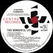 Stephen Cummings – This Wonderful Life LP vinyl record, image 3 of 6