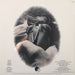 Point Blank – Point Blank LP vinyl record, image 2 of 5