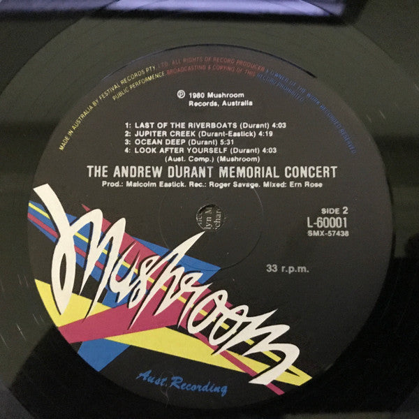 Various – The Andrew Durant Memorial Concert (2xLP) LP vinyl record, image 10 of 10
