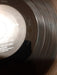 Steely Dan – Can't Buy A Thrill LP vinyl record, image 10 of 10