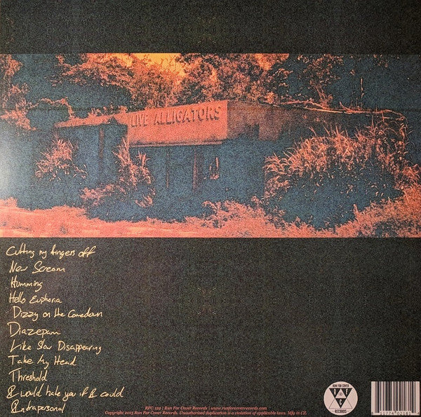 Turnover – Peripheral Vision LP vinyl record, image 2 of 8