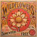 Tom Petty – Wildflowers & All The Rest (2xLP) LP vinyl record, image 2 of 10