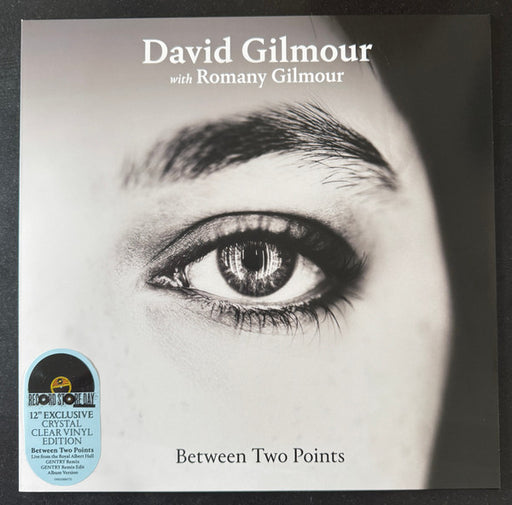 David Gilmour, Romany Gilmour – Between Two Points 12" vinyl record, image 1 of 9