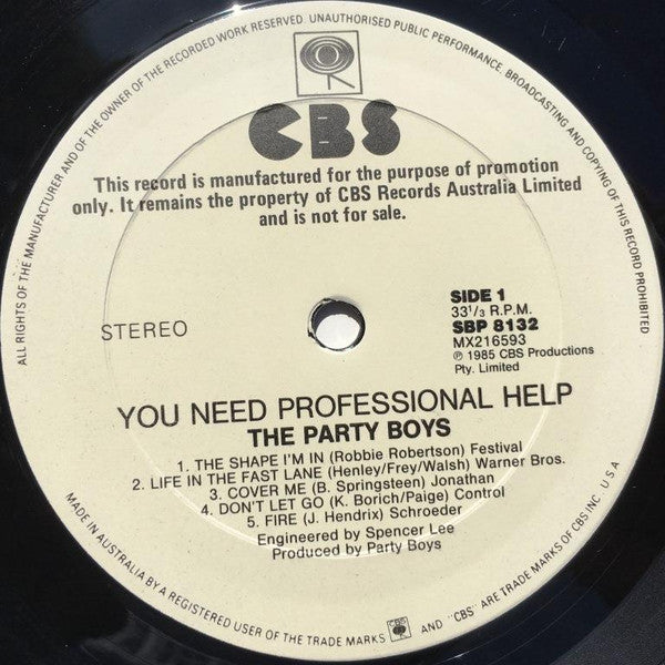 The Party Boys – You Need Professional Help LP vinyl record, image 3 of 4