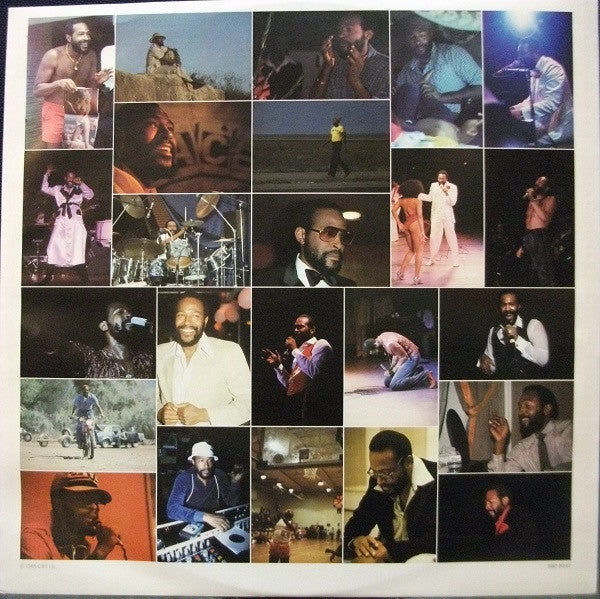 Marvin Gaye – Dream Of A Lifetime LP vinyl record, image 3 of 6