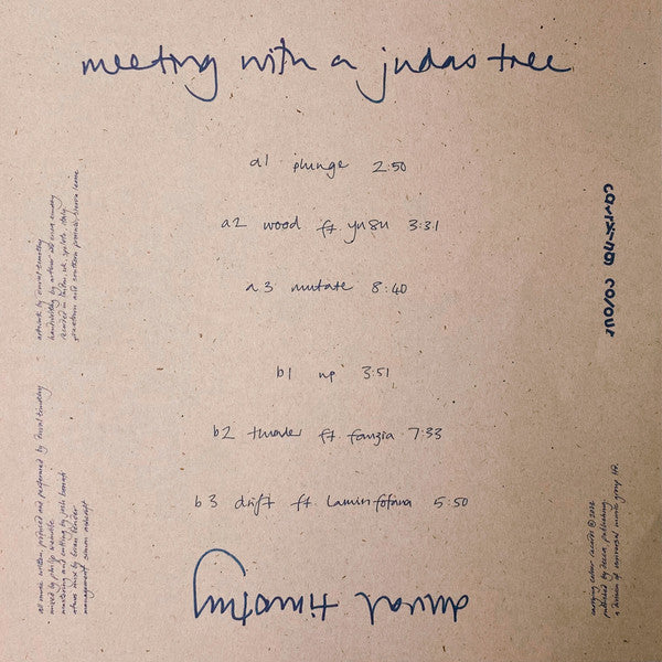 Duval Timothy – Meeting With A Judas Tree LP vinyl record, image 5 of 5