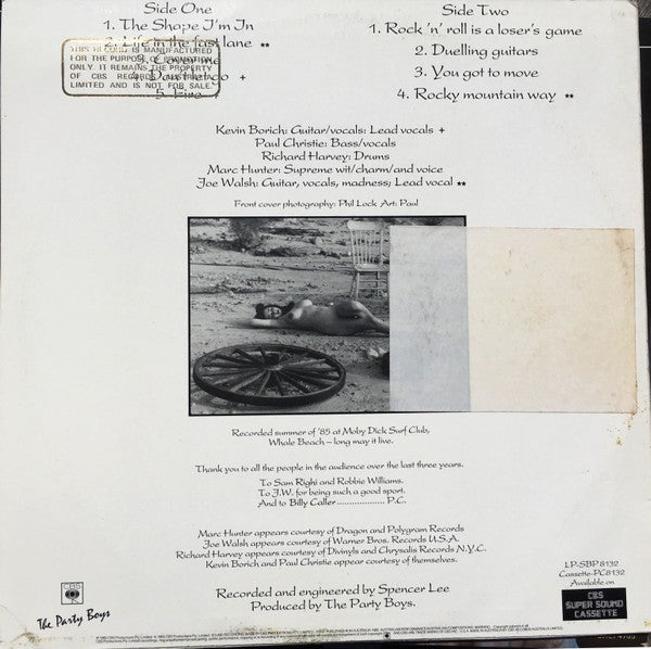 The Party Boys – You Need Professional Help LP vinyl record, image 2 of 4