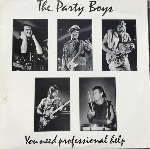 The Party Boys – You Need Professional Help LP vinyl record, image 1 of 4