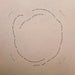 Duval Timothy – Meeting With A Judas Tree LP vinyl record, image 4 of 5