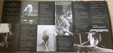 Various – Almost Famous (2xLP) LP vinyl record, image 3 of 5