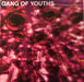 Gang of Youths – MTV Unplugged Live In Melbourne (2xLP) LP vinyl record, image 1 of 8
