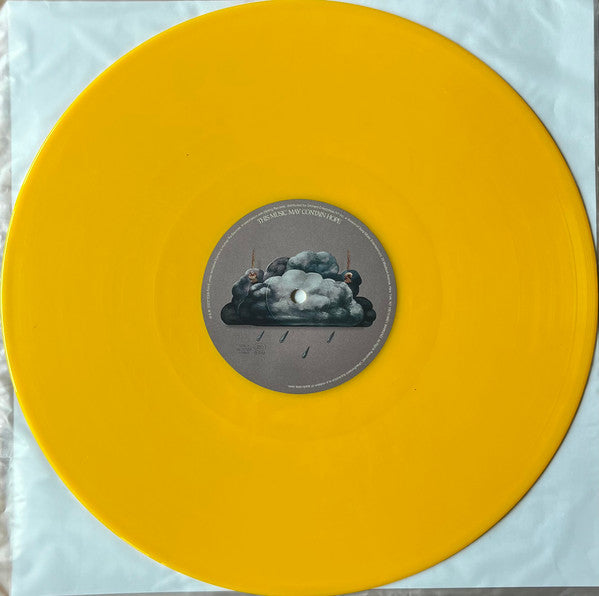 Raye – This Music May Contain Hope. (2xLP) LP vinyl record, image 9 of 10