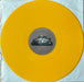 Raye – This Music May Contain Hope. (2xLP) LP vinyl record, image 9 of 10
