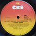 Bonnie Tyler – Secret Dreams And Forbidden Fire LP vinyl record, image 6 of 6