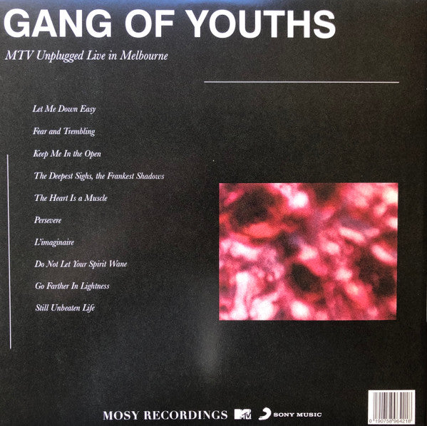 Gang of Youths – MTV Unplugged Live In Melbourne (2xLP) LP vinyl record, image 4 of 8