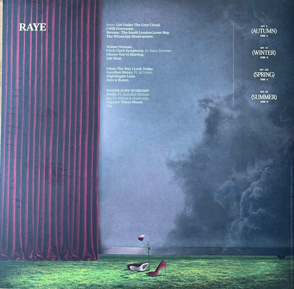 Raye – This Music May Contain Hope. (2xLP) LP vinyl record, image 4 of 10